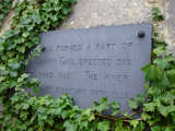 Plaque Thumb 015