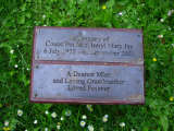 Plaque Thumb 052